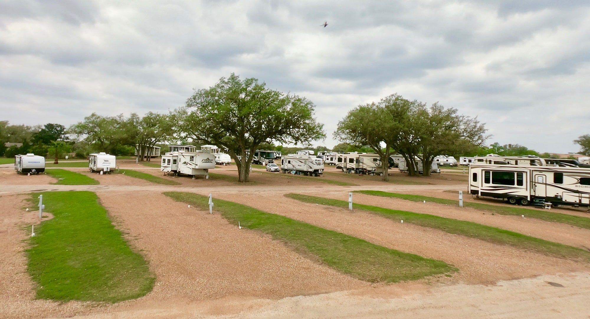 Camper submitted image from Angels In Goliad RV Park - 1
