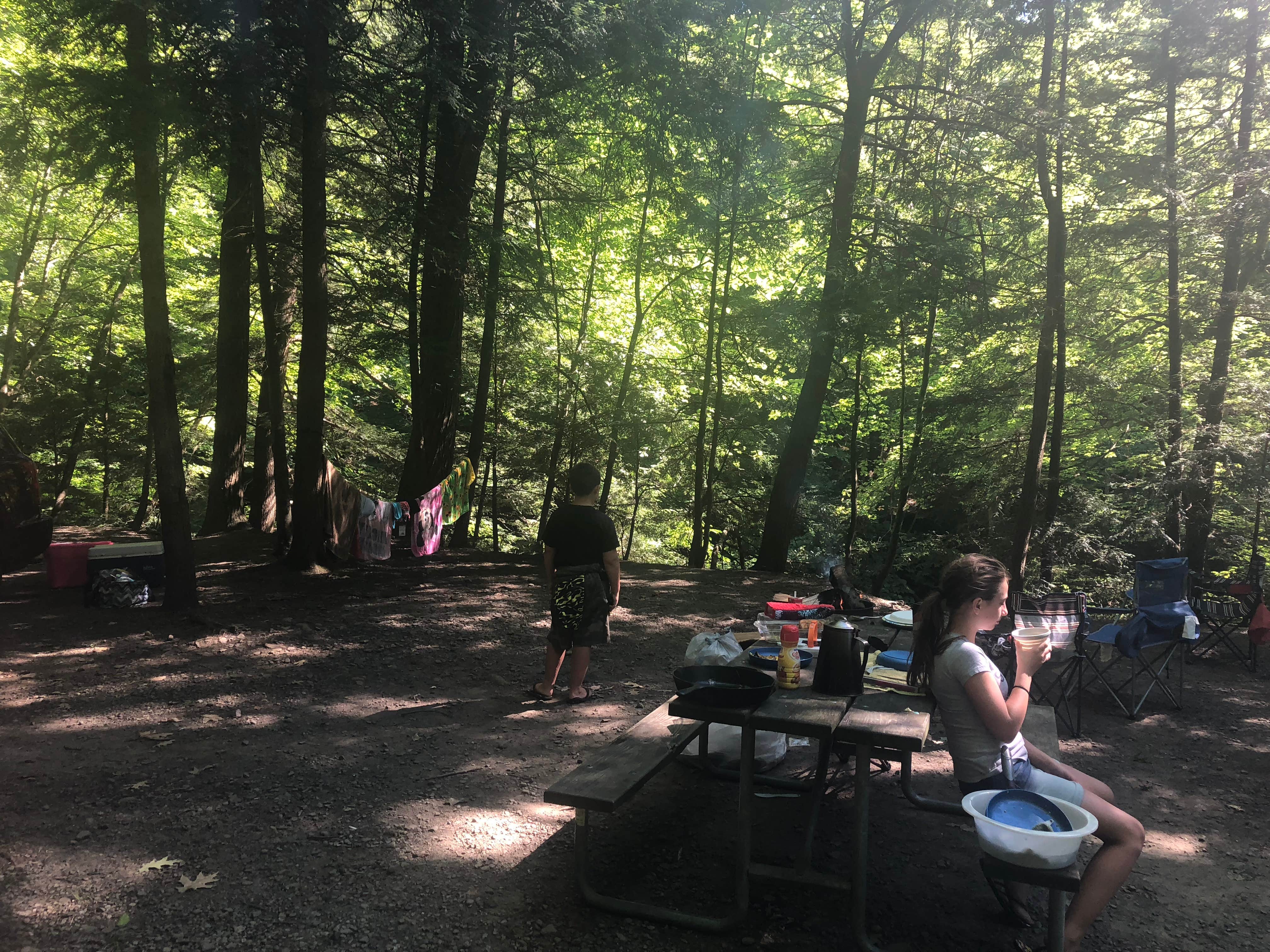 Jessica G.'s photo at Stony Brook State Park Campground near Portageville, NY