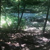 Review photo of Stony Brook State Park Campground by Jessica G., August 8, 2018