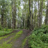 Review photo of South Rolly Lake Campground by Pam W., August 8, 2018