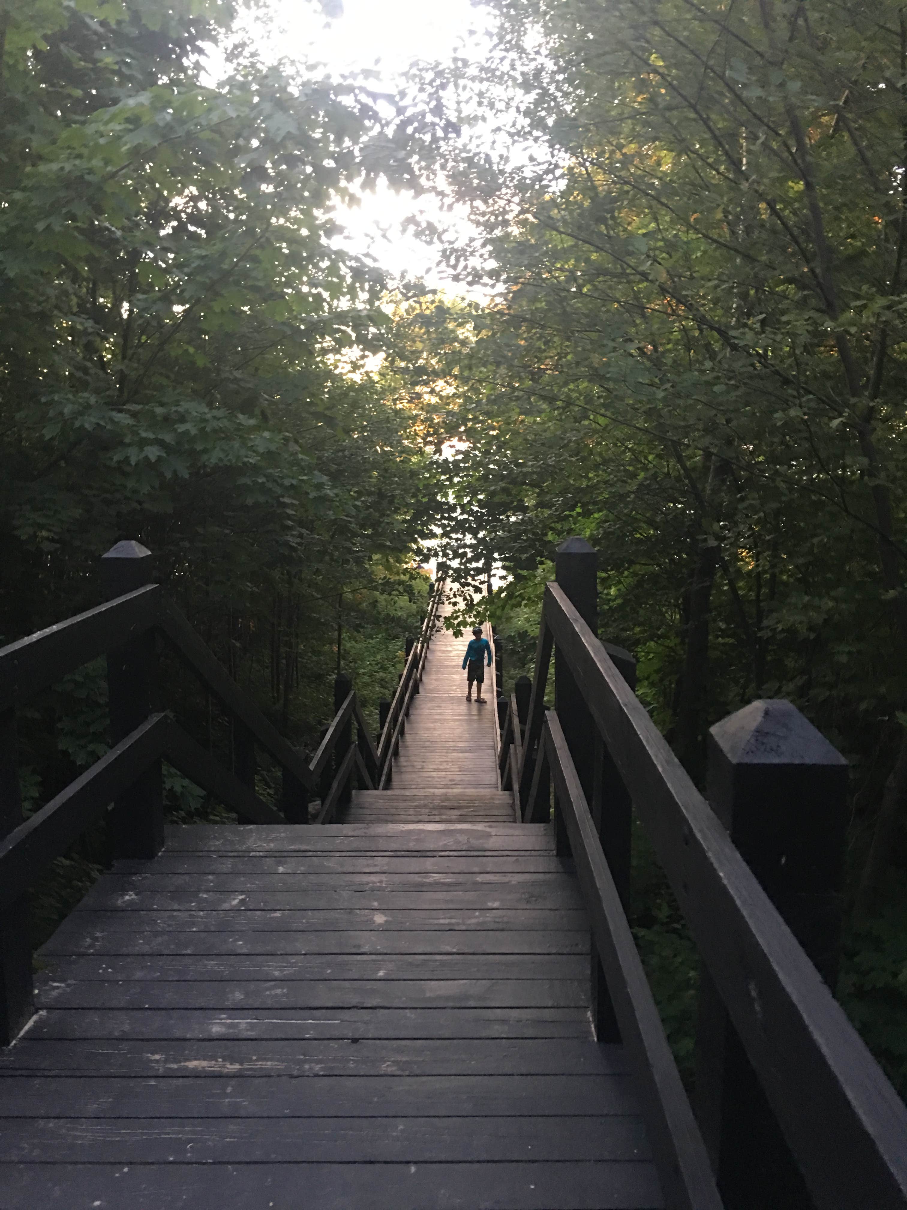 Camper submitted image from Muskallonge Lake State Park Campground - 3