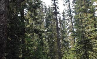 Erica T.'s photo at Takhlakh Lake Campground near Gifford Pinchot National Forest