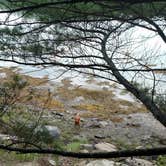 Review photo of Cobscook Bay State Park by Michelle R., August 8, 2018