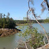 Review photo of Cobscook Bay State Park by Michelle R., August 8, 2018