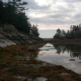 Review photo of Cobscook Bay State Park by Michelle R., August 8, 2018