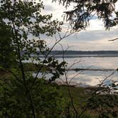 Review photo of Cobscook Bay State Park by Michelle R., August 8, 2018