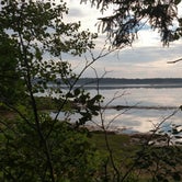 Review photo of Cobscook Bay State Park Campground by Michelle R., August 8, 2018