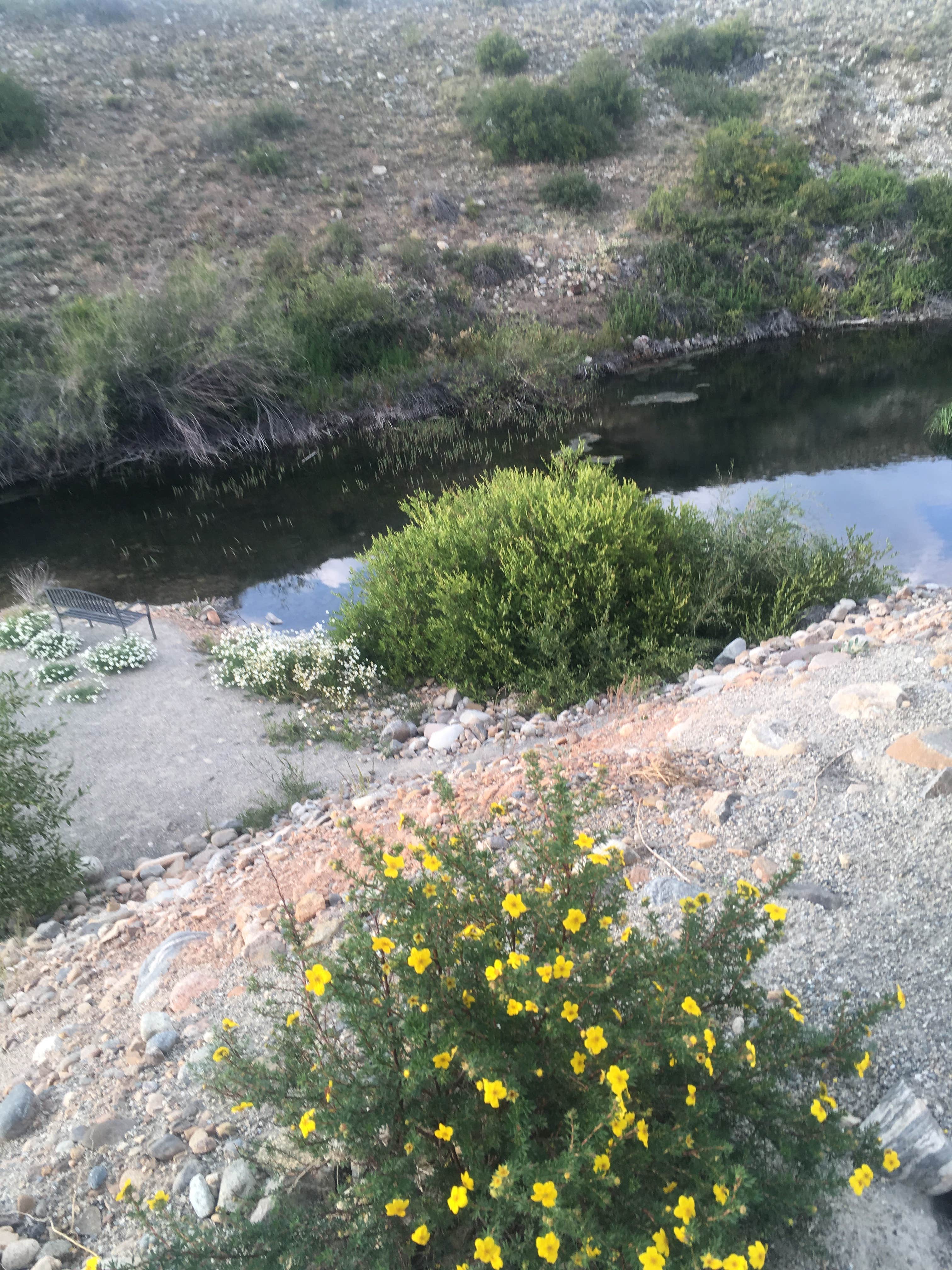 Camper-submitted photo at Middle Fork Campground near Steamboat Springs, CO