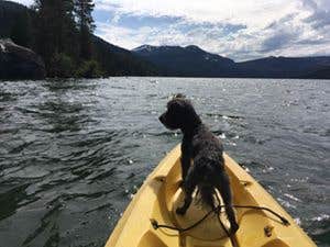 Kayaking with my Buddy!