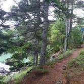 Review photo of Cobscook Bay State Park by Michelle R., August 8, 2018