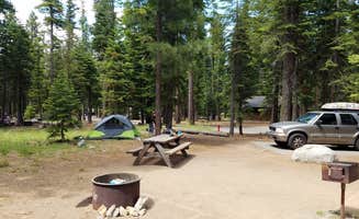 Lizzy C.'s photo at General Creek Campground — Sugar Pine Point State Park near Tahoma, CA