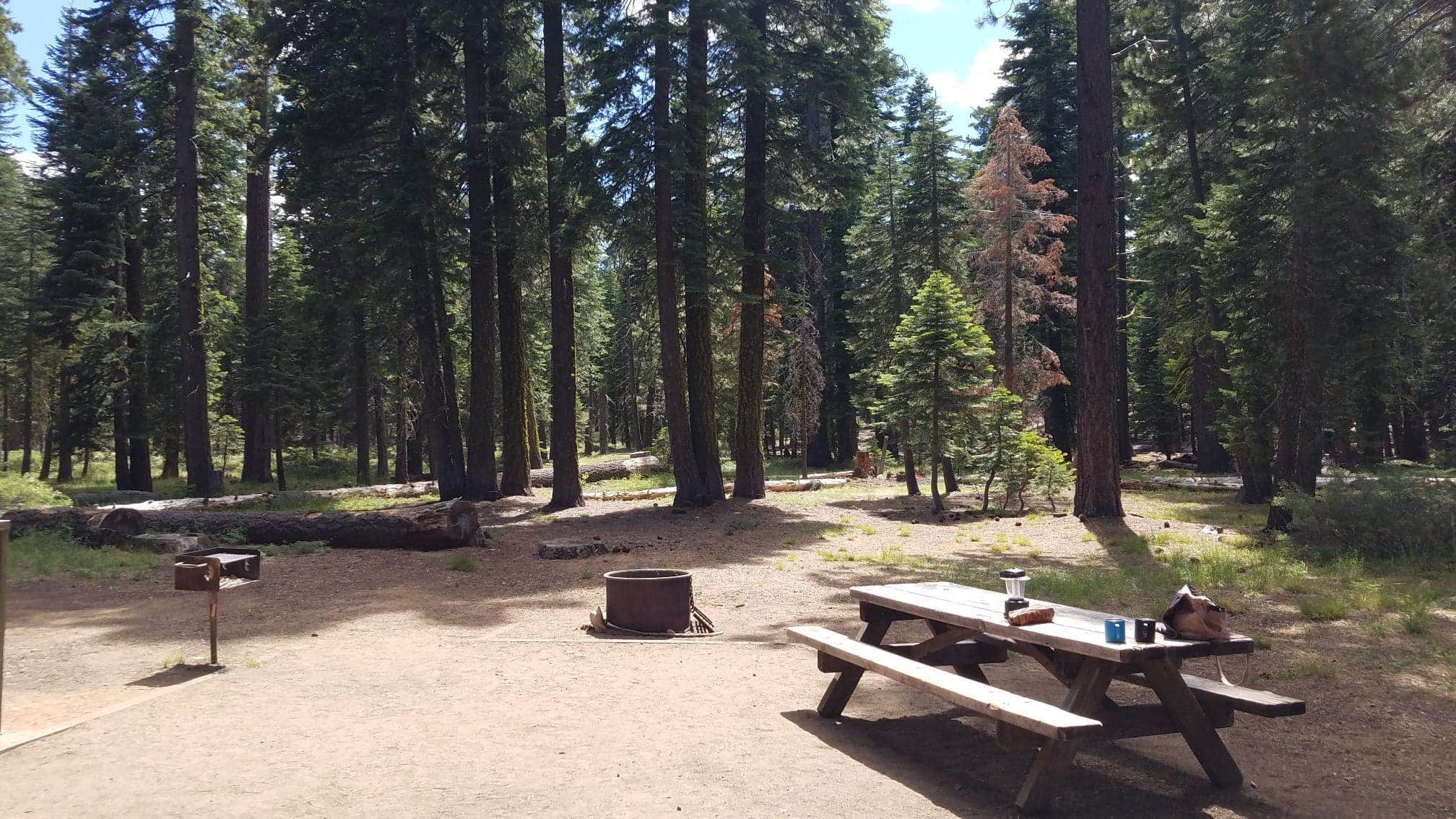 Camper-submitted photo at General Creek Campground — Sugar Pine Point State Park near Tahoe City, CA