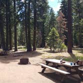 Review photo of General Creek Campground — Sugar Pine Point State Park by Lizzy C., August 9, 2018