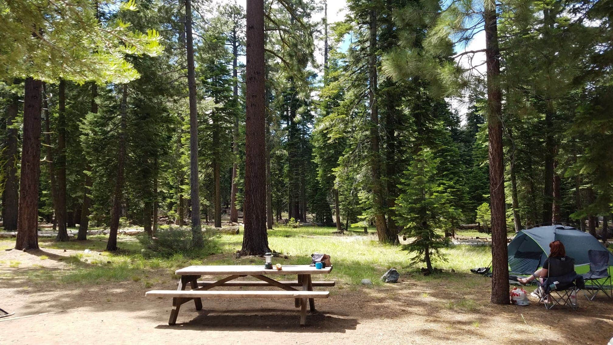 Lizzy C.'s photo at General Creek Campground — Sugar Pine Point State Park near Tahoe City, CA