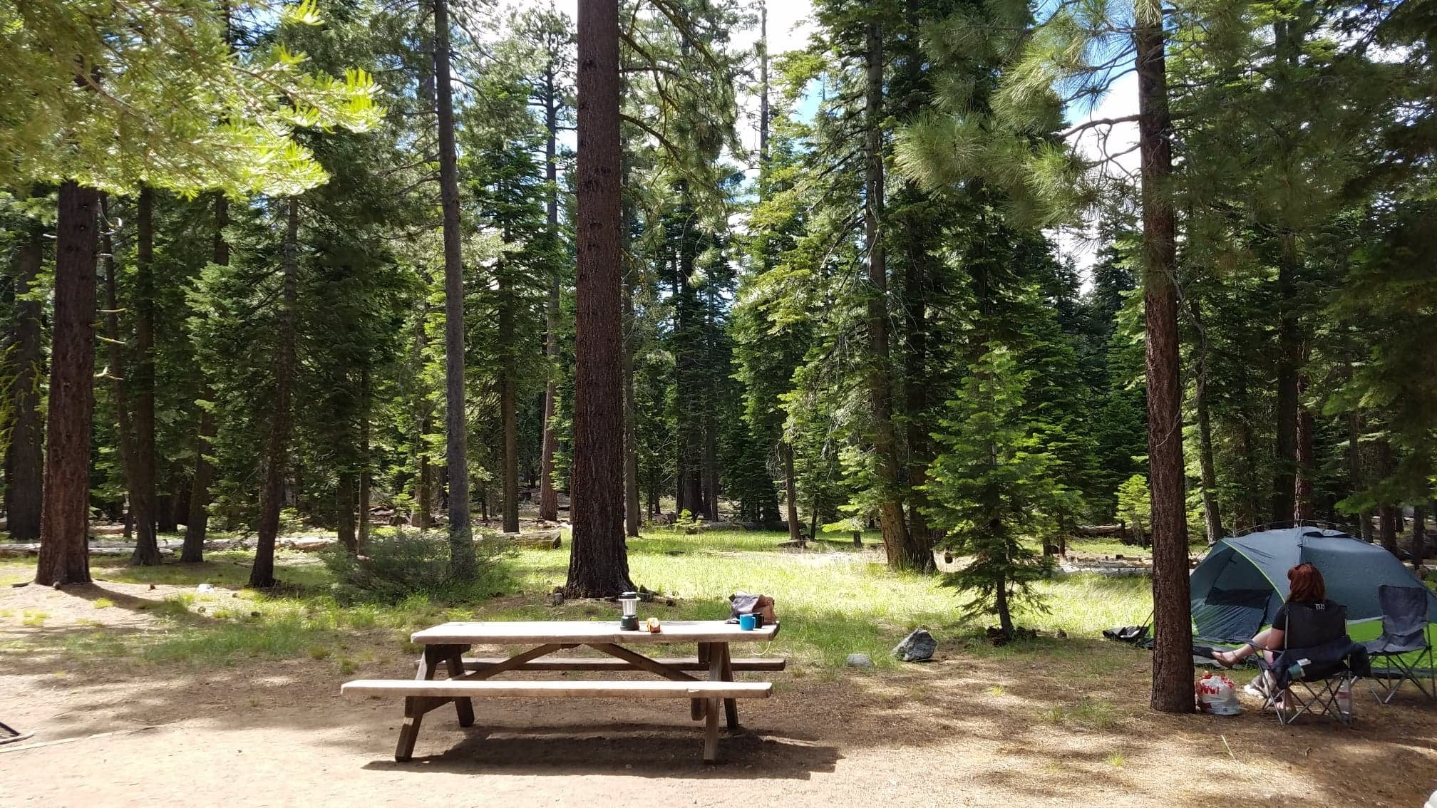 Camper submitted image from General Creek Campground — Sugar Pine Point State Park - 4
