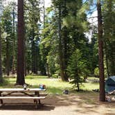 Review photo of General Creek Campground — Sugar Pine Point State Park by Lizzy C., August 9, 2018