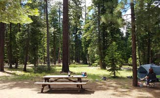 Lizzy C.'s photo at General Creek Campground — Sugar Pine Point State Park near Glenbrook, NV