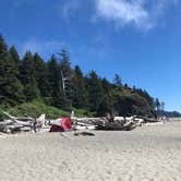 Review photo of Second Beach — Olympic National Park by Jenna M., August 9, 2018