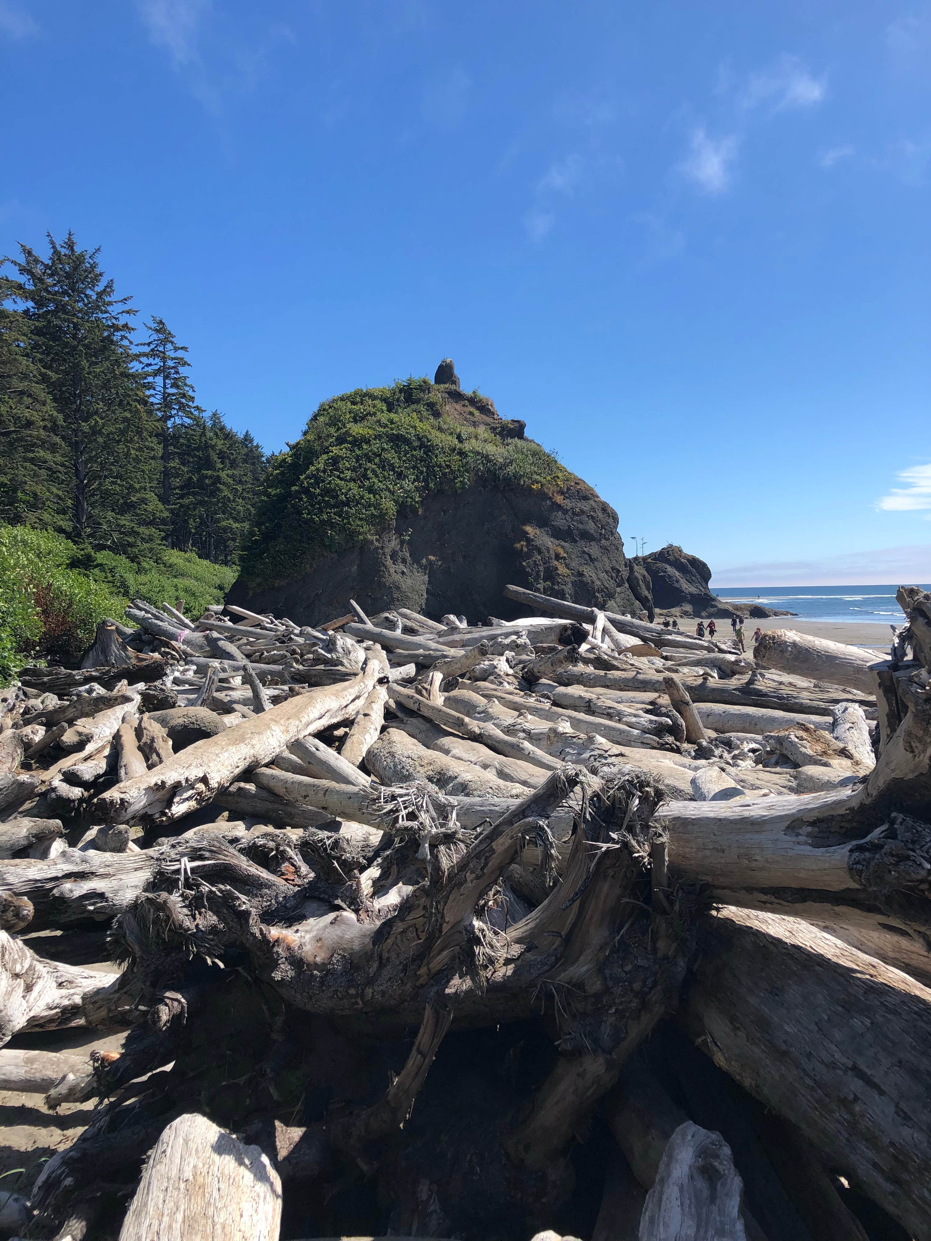 Camper-submitted photo at Second Beach — Olympic National Park near Forks, WA