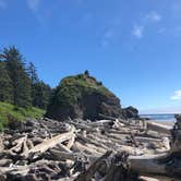 Review photo of Second Beach — Olympic National Park by Jenna M., August 9, 2018