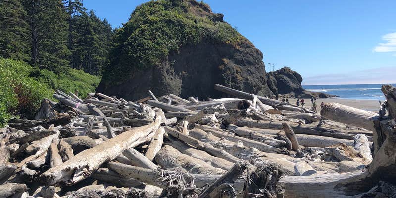 Camper submitted image from Second Beach — Olympic National Park