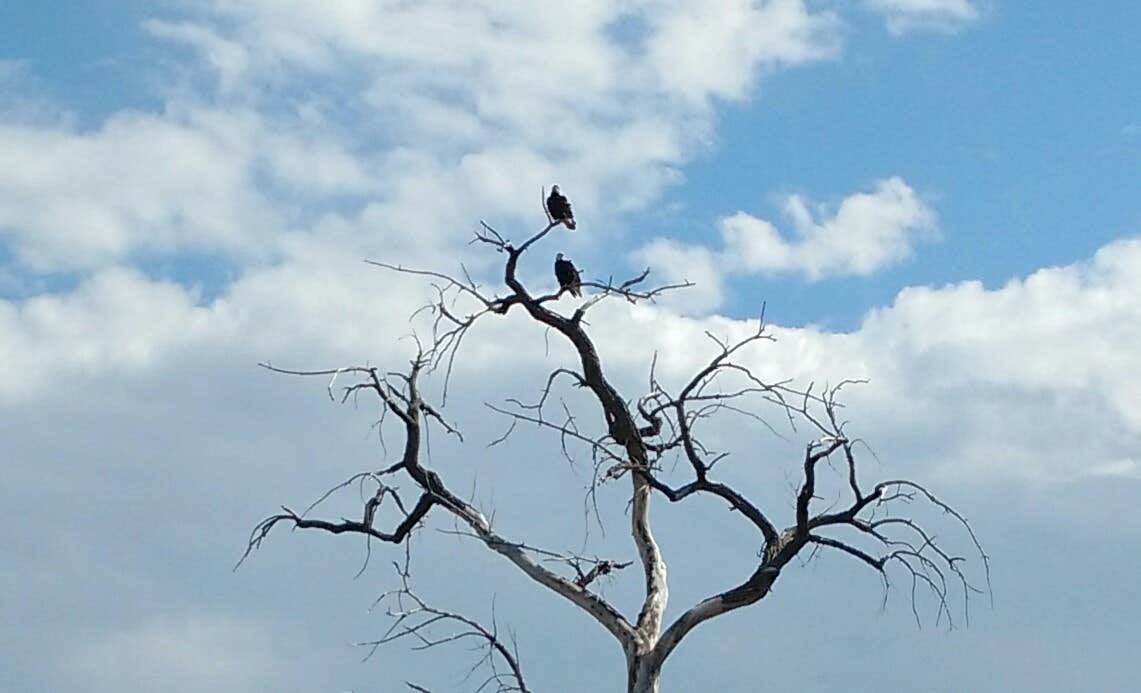 Camper-submitted photo at St. Vrain State Park Campground near Eastlake, CO