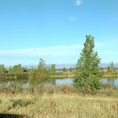 Review photo of St. Vrain State Park Campground by Michele W., August 9, 2018