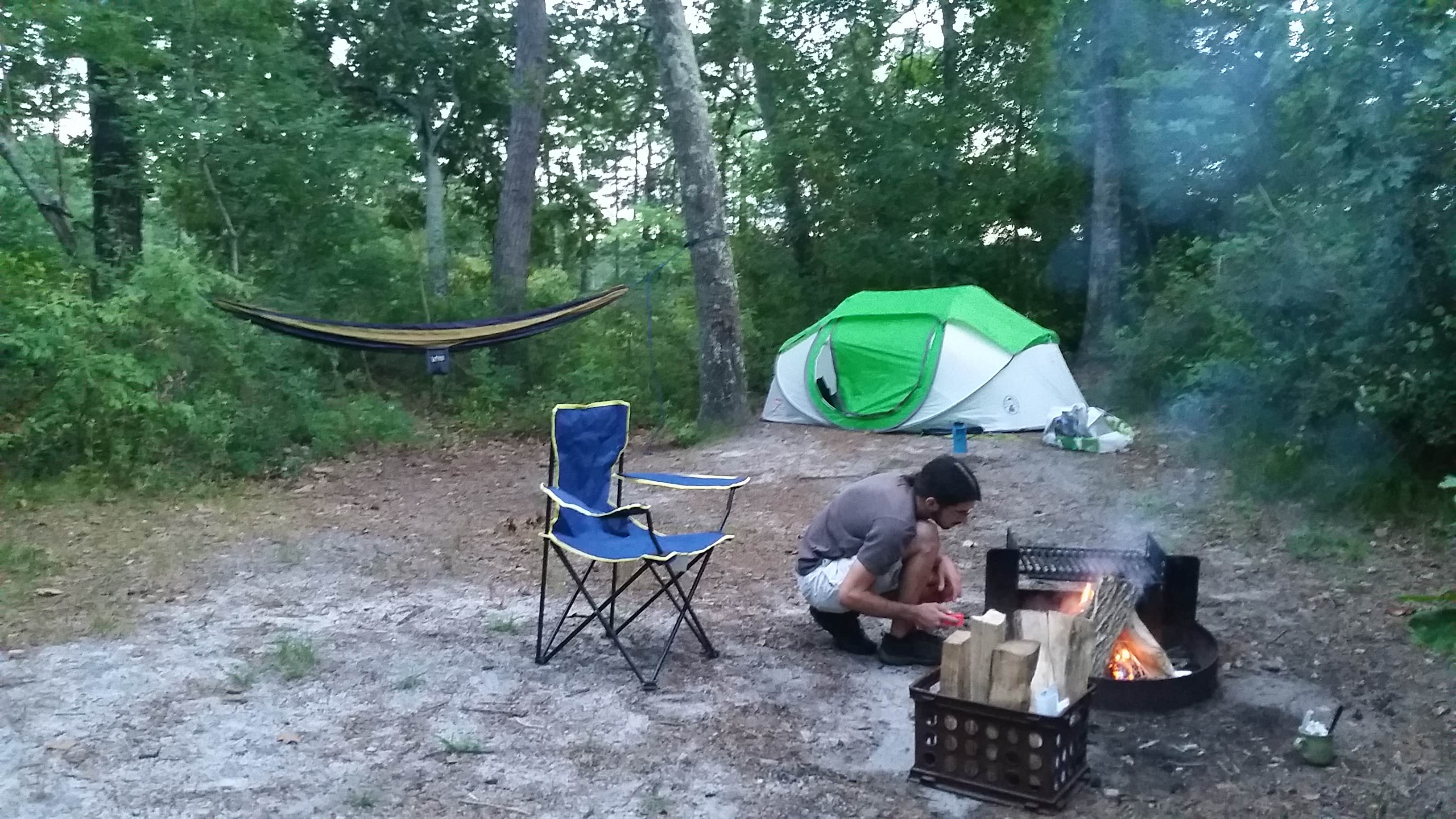 Camper submitted image from Goshen Pond — Wharton State Forest - 3