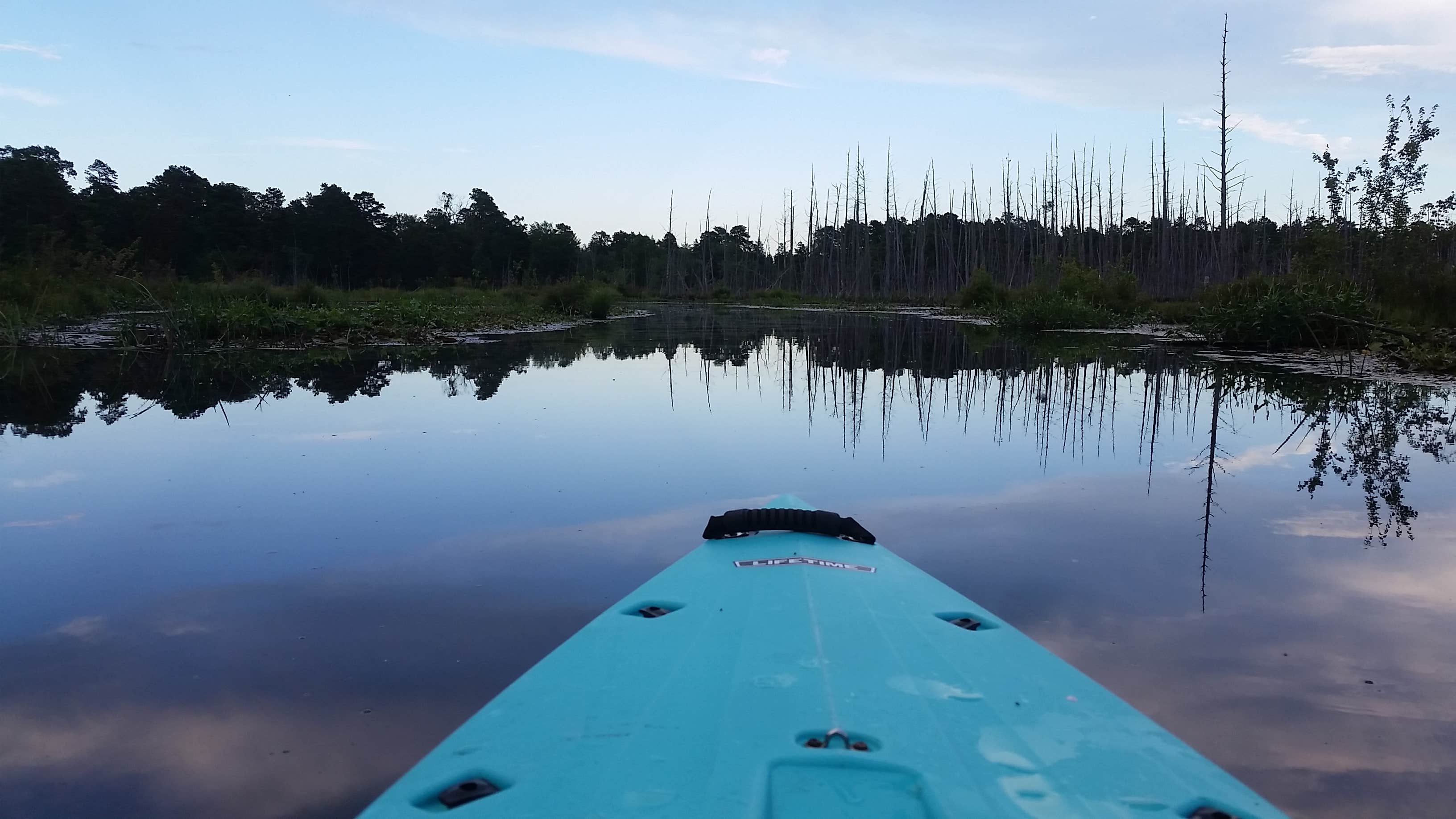Camper-submitted photo at Goshen Pond — Wharton State Forest near Hammonton, NJ