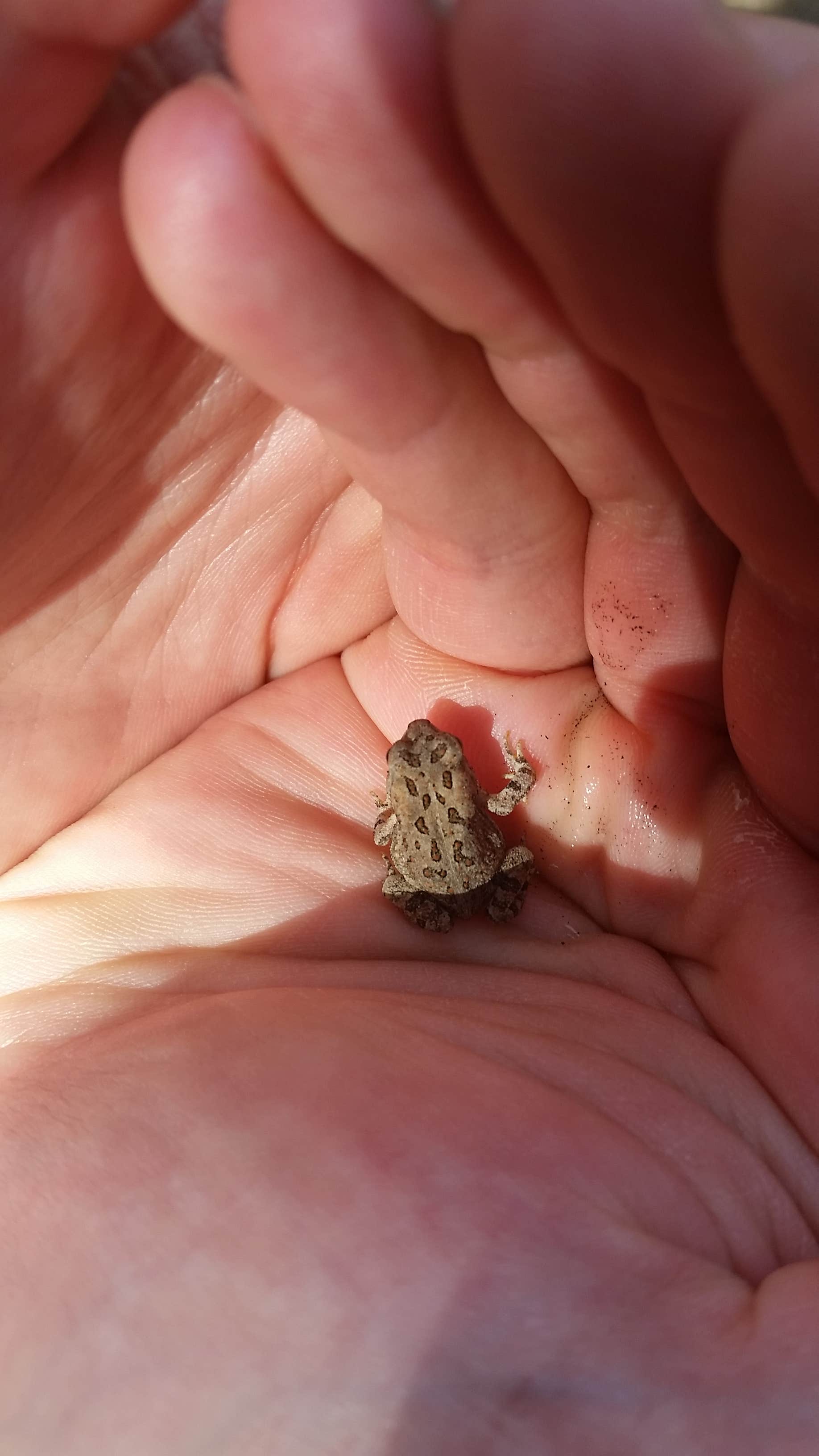 Camper-submitted photo at Goshen Pond — Wharton State Forest near Hammonton, NJ