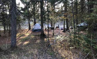 Katie R.'s photo at Eckbeck Finland State Forest near Finland, MN