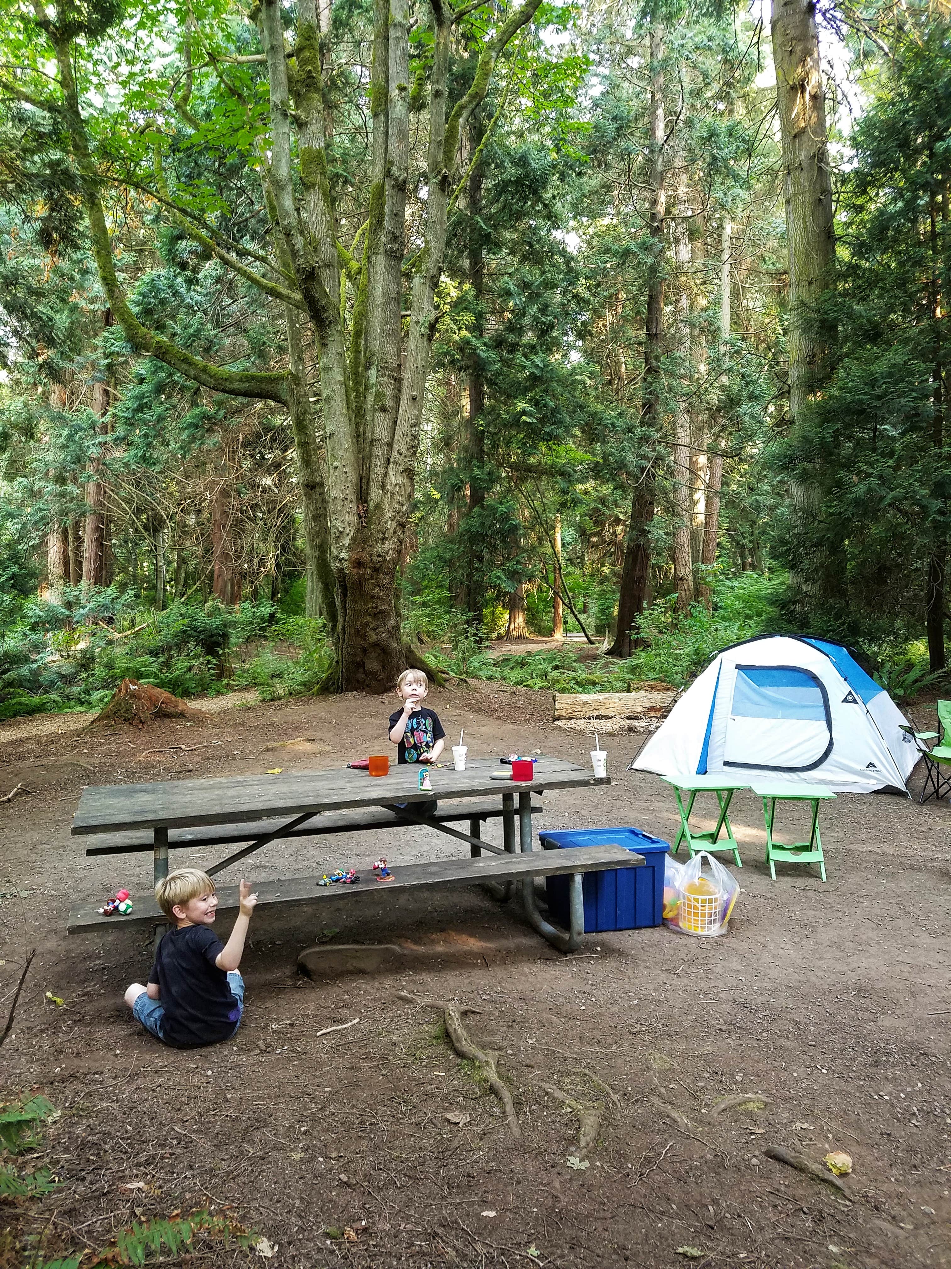 Camper submitted image from Birch Bay State Park Campground - 5