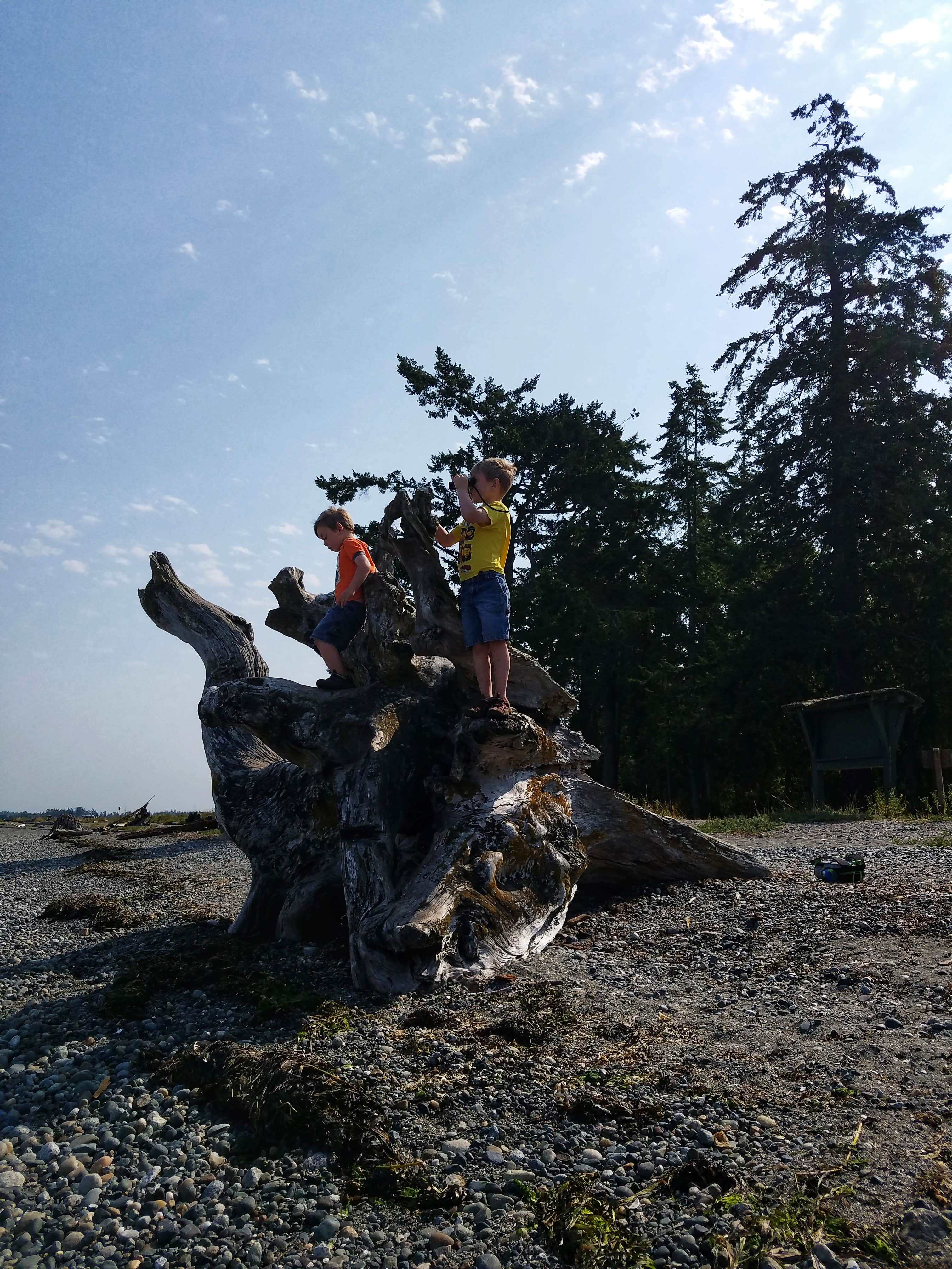 Camper submitted image from Birch Bay State Park Campground - 4