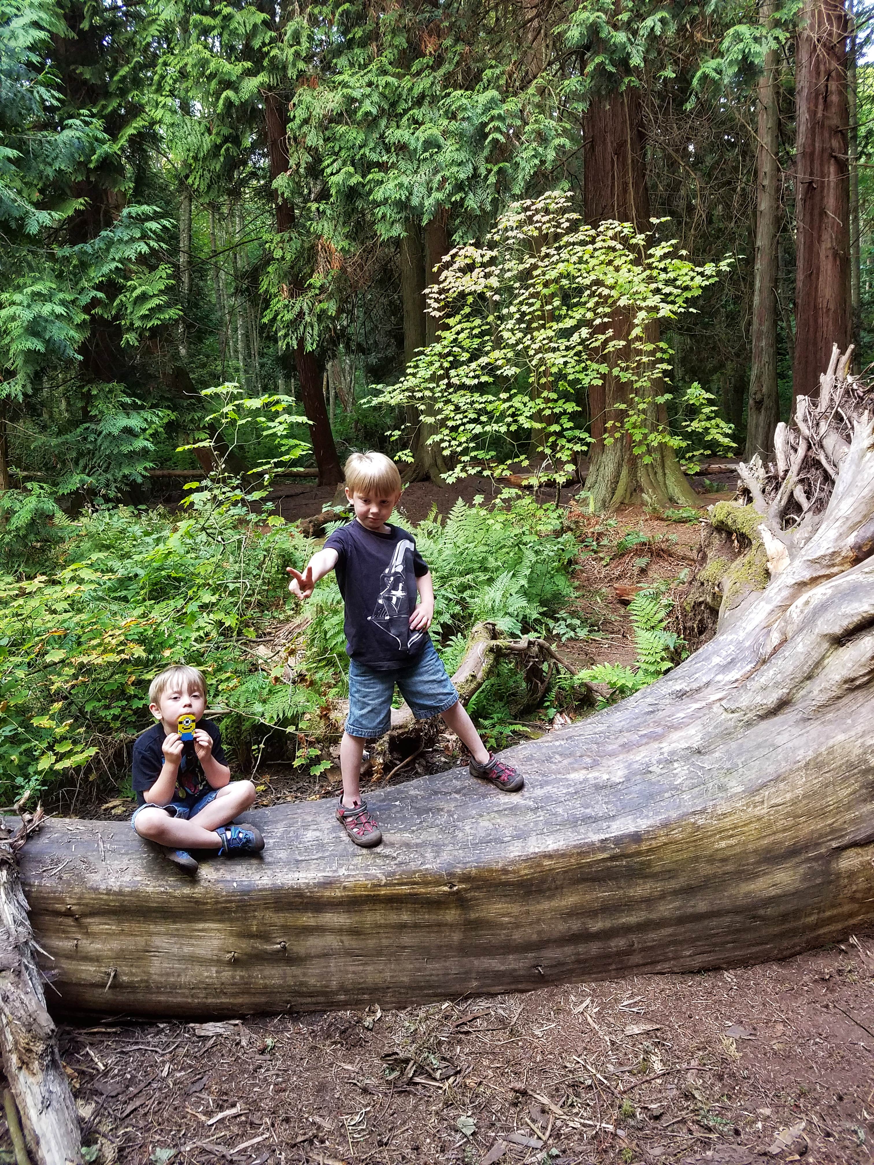 Camper-submitted photo at Birch Bay State Park Campground near Ferndale, WA