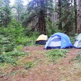Review photo of Silver Falls State Park Campground by Lana N., August 9, 2018