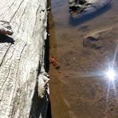 Review photo of Mirror Lake by Lana N., August 9, 2018