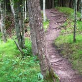 Review photo of Huron-Manistee National Forest by Megan C., August 9, 2018