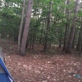 Review photo of Empire Township Campground by Megan C., August 9, 2018