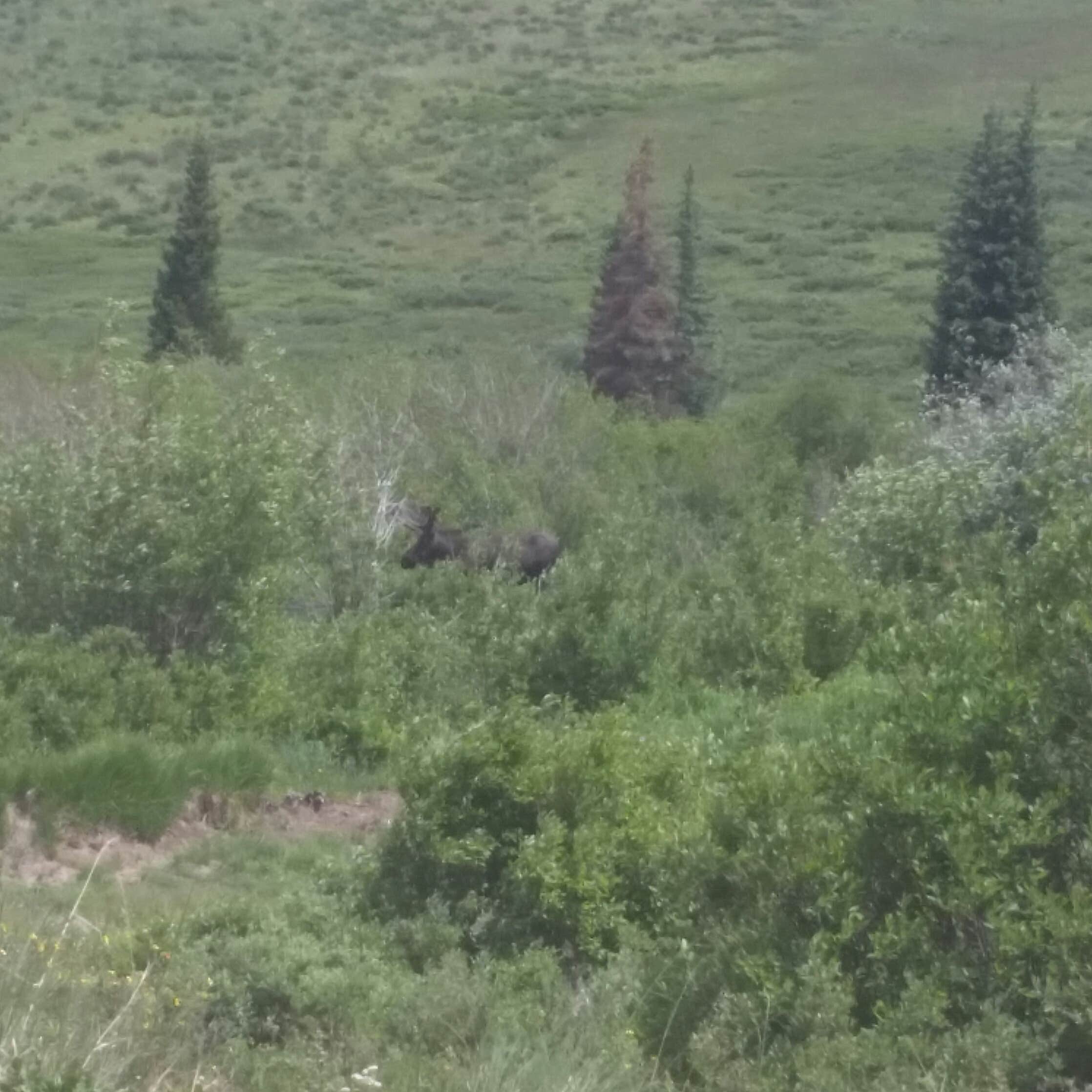 Camper-submitted photo at Deer Lakes near City of Creede, CO