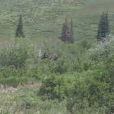 Review photo of Deer Lakes by Tina M., August 9, 2018