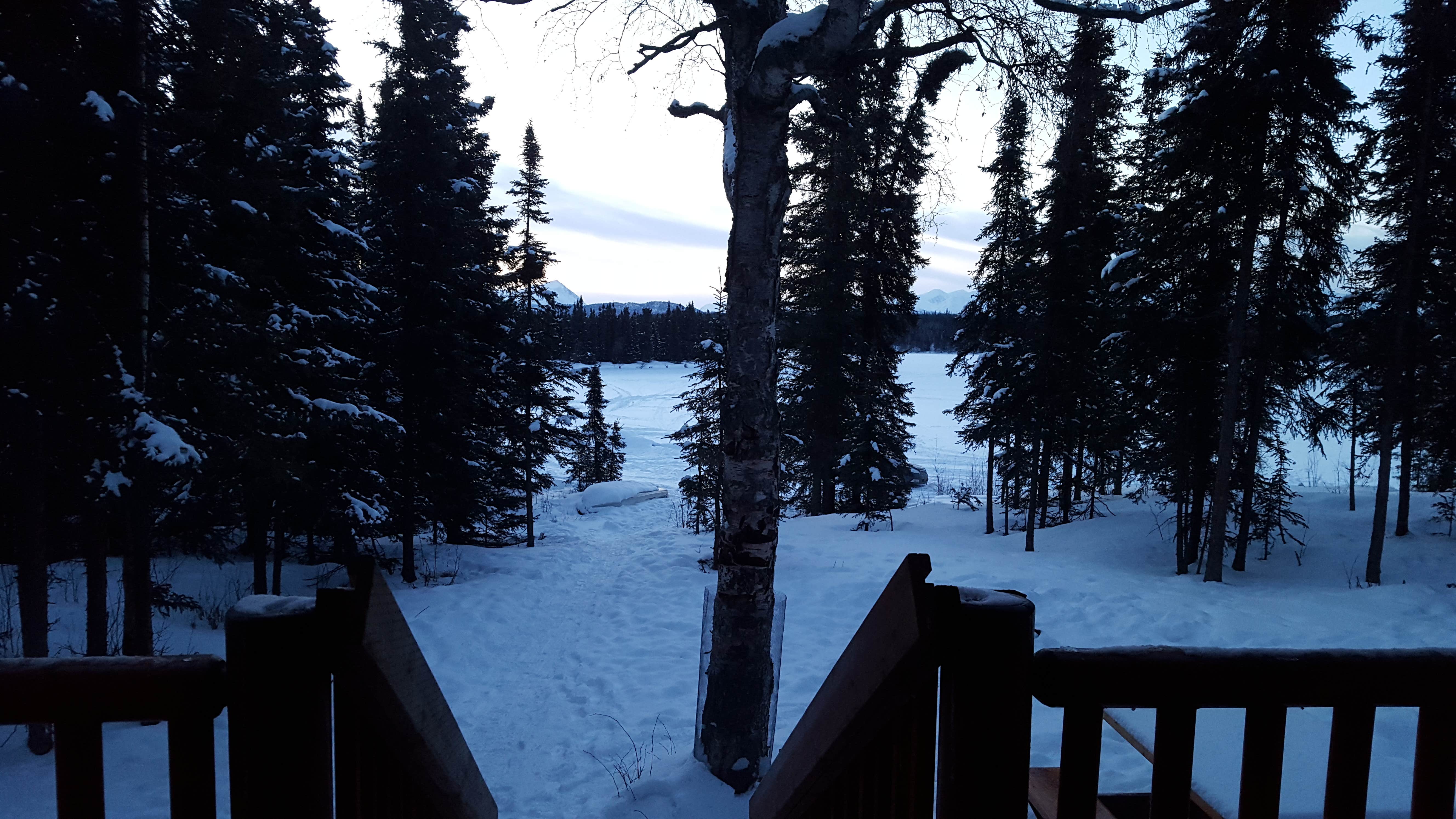 Camper submitted image from Kenai National Wildlife Refuge Cabins - 2