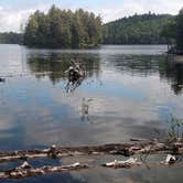 Review photo of Dunn Point Campground — Lily Bay State Park by Michelle R., August 9, 2018