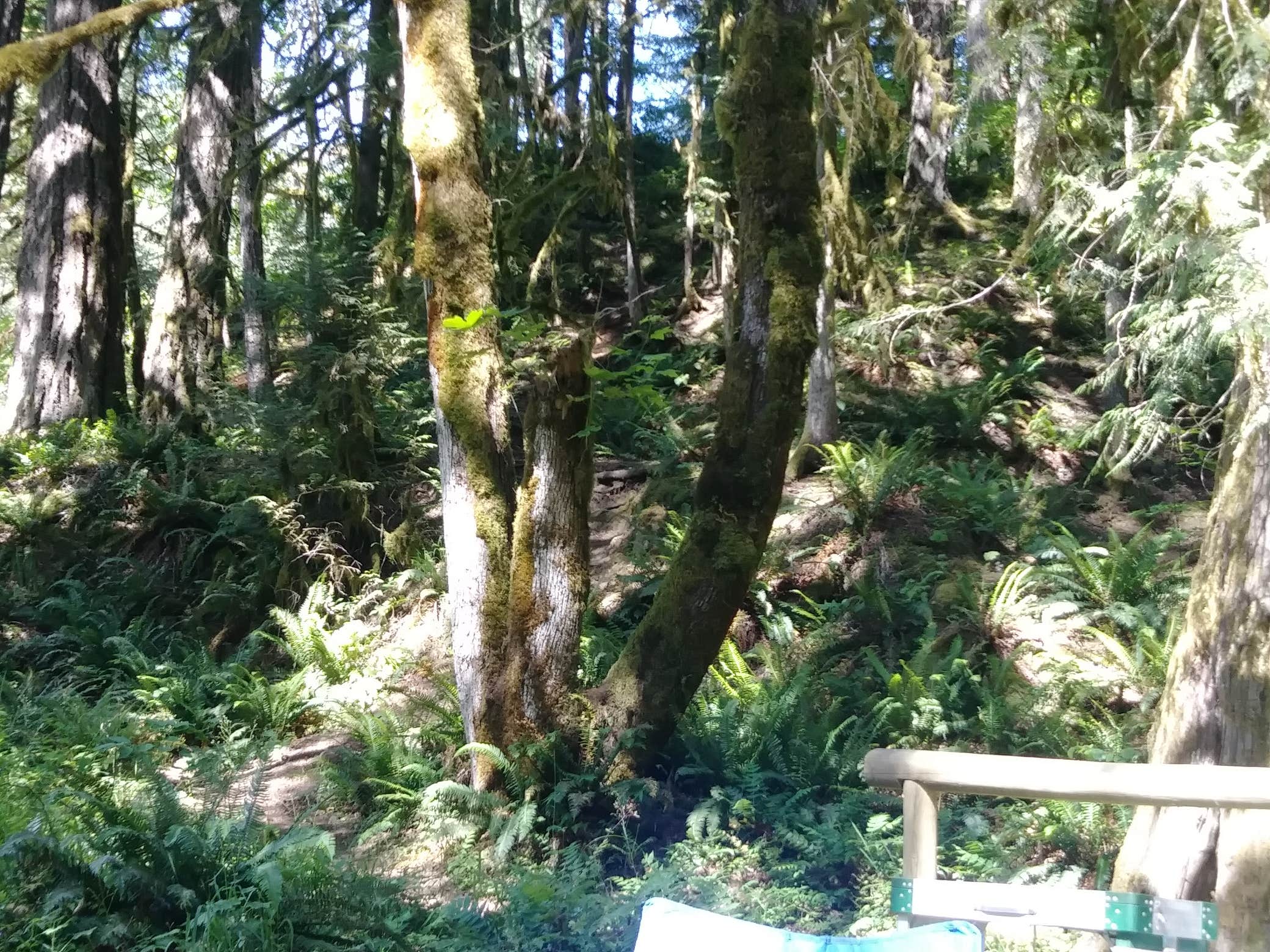 Nature