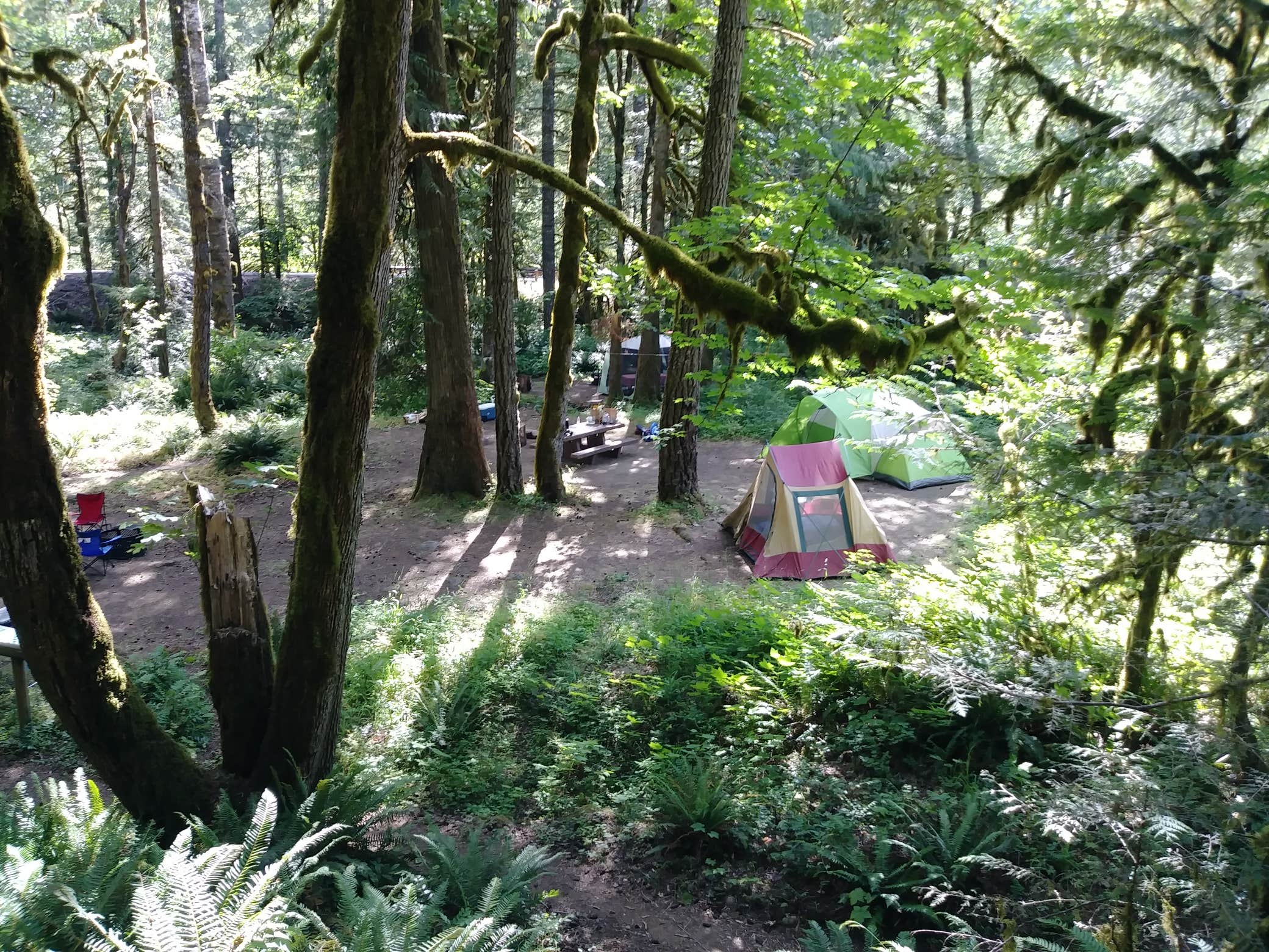 Autumn W.'s photo at Roaring River (group) in Oregon