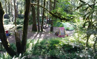 Autumn W.'s photo at Roaring River (group) near Deschutes National Forest