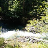 Review photo of Willamette National Forest Roaring River Group Campground by Autumn W., August 9, 2018