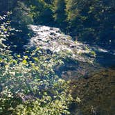 Review photo of Willamette National Forest Roaring River Group Campground by Autumn W., August 9, 2018