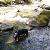 Review photo of Willamette National Forest Roaring River Group Campground by Autumn W., August 9, 2018