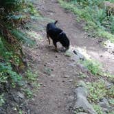 Review photo of Willamette National Forest Roaring River Group Campground by Autumn W., August 9, 2018