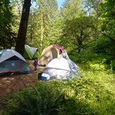 Review photo of Willamette National Forest Roaring River Group Campground by Autumn W., August 9, 2018